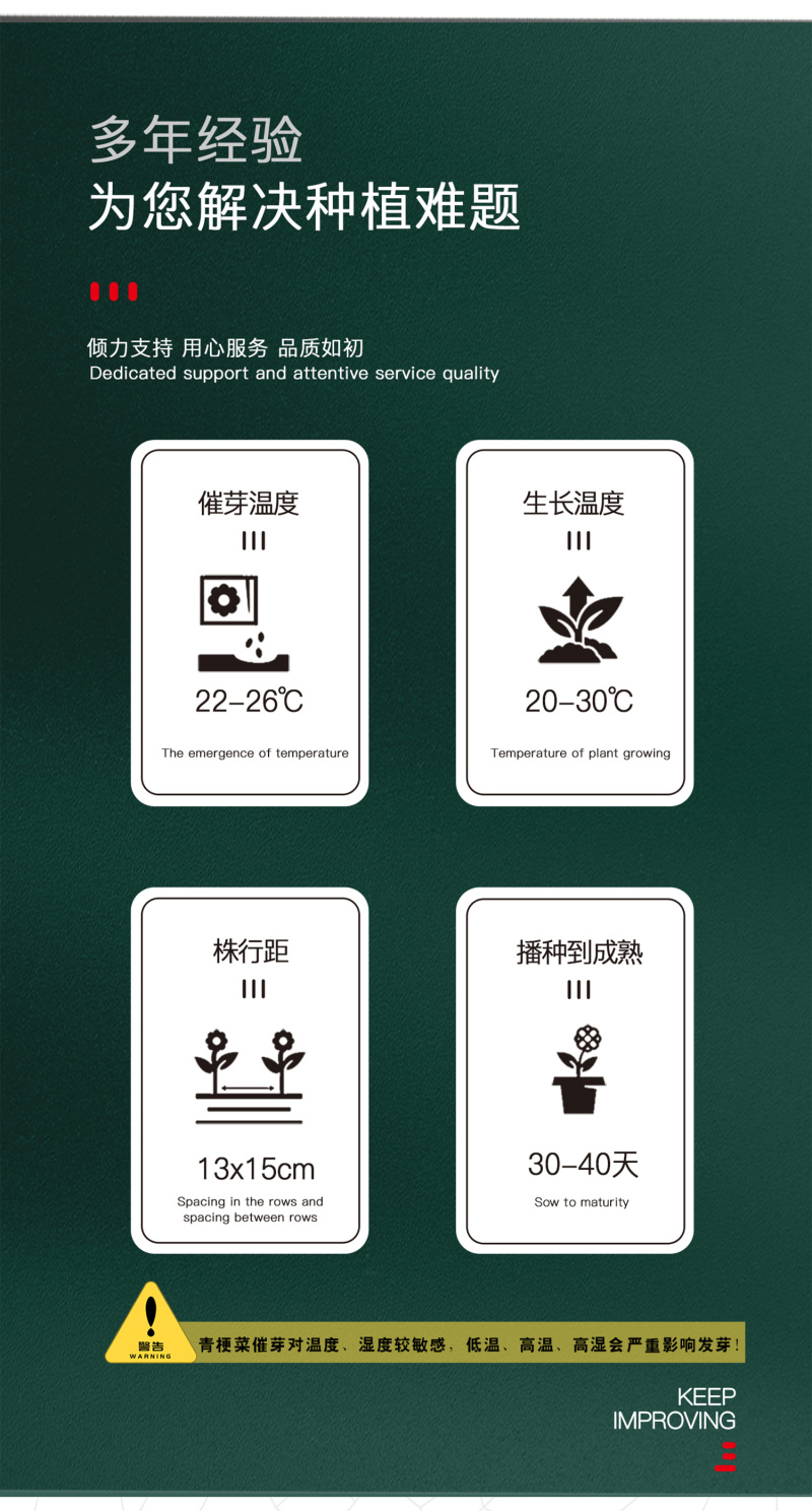 中科茂华蔬菜种子绿抗王杂交青梗菜种子颜色翠绿叶柄宽厚
