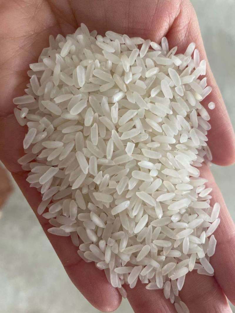 优质湖北枝江虾稻米大米厂家直销质优价廉支持视频看货对接