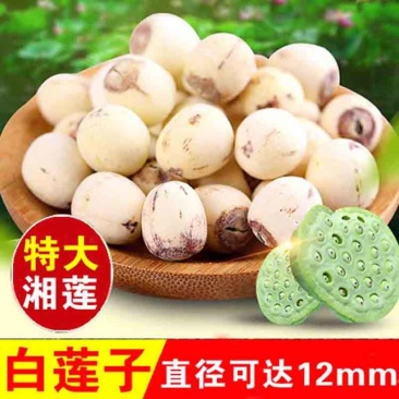 湖南特产湘潭莲子干货去芯白莲米500g无芯磨皮湘莲