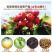 无核山楂干泡茶片干山楂片泡水中心圈无籽去核新鲜
