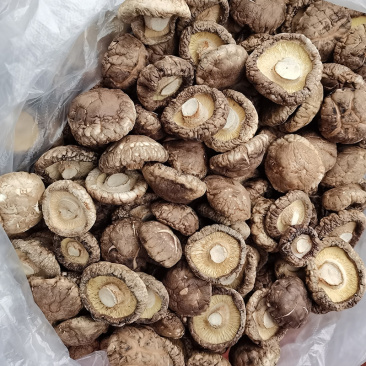 干香菇厚菇西峡香菇剪脚小香菇肉厚冬菇规格齐全产地直发