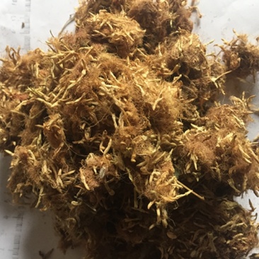 合欢花
