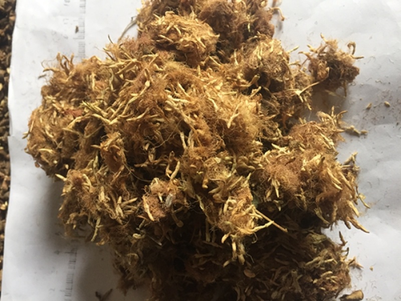 合欢花