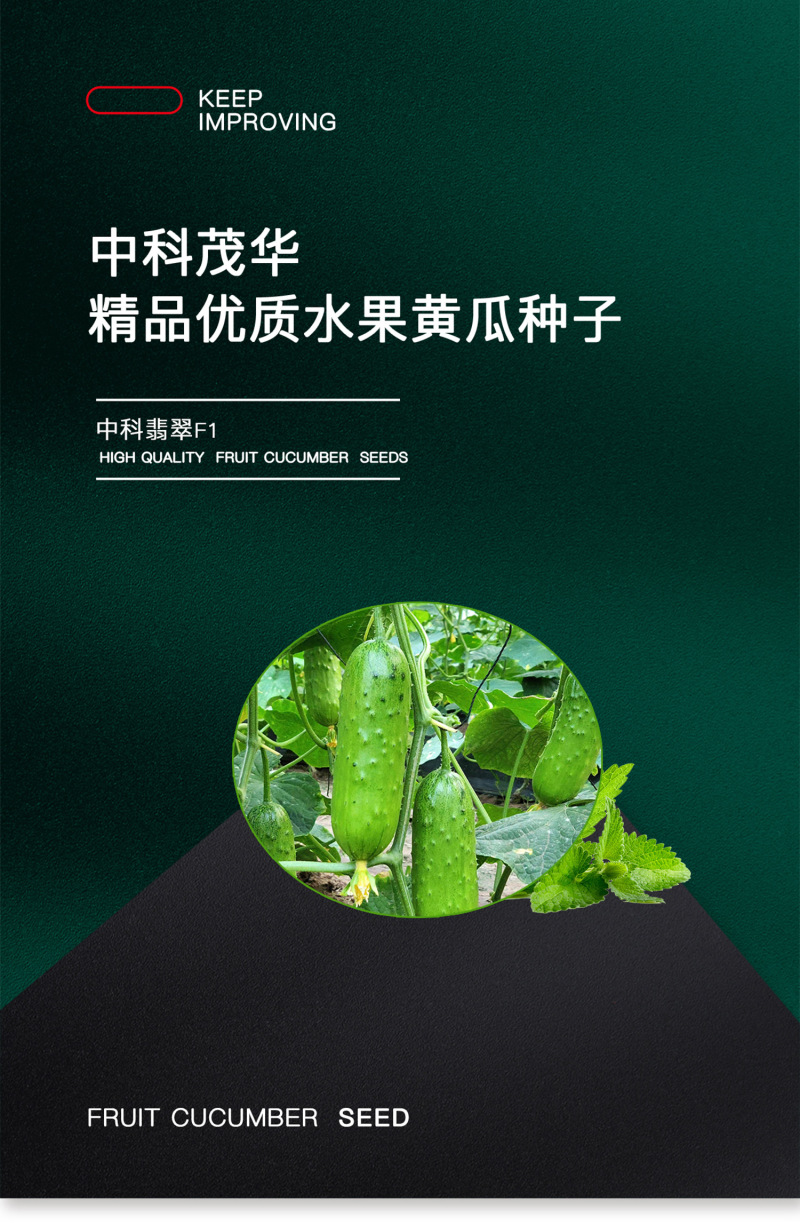 中科茂华黄瓜种子中科翡翠无苦味全雌系节节有瓜易管理高产