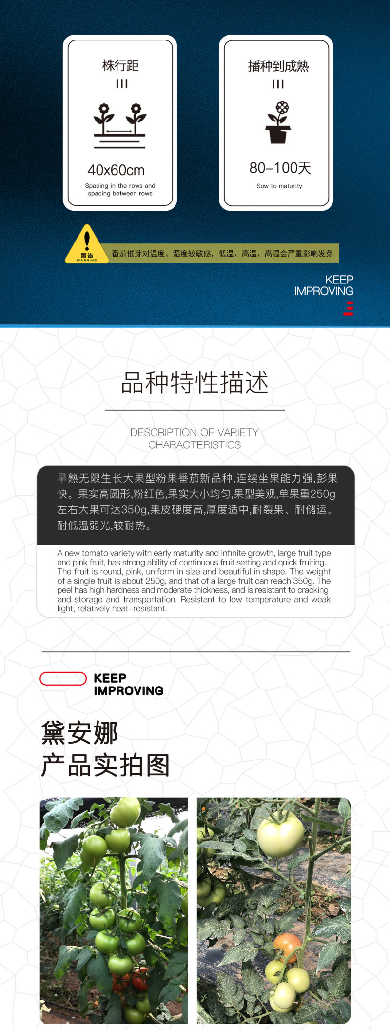 中科茂华蔬菜种子黛安娜番茄种子果实高圆形粉红色果型耐裂果