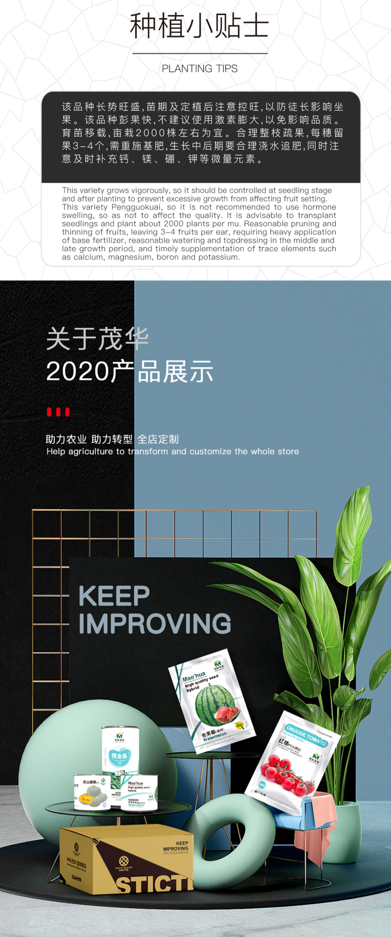 中科茂华蔬菜种子黛安娜番茄种子果实高圆形粉红色果型耐裂果
