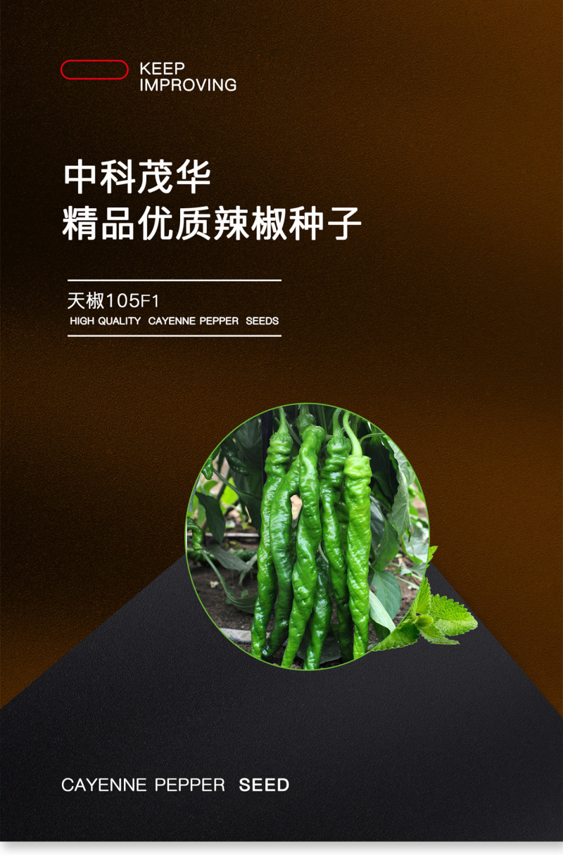 中科茂华蔬菜种子天椒105辣椒种子大果型深绿色皮薄质脆