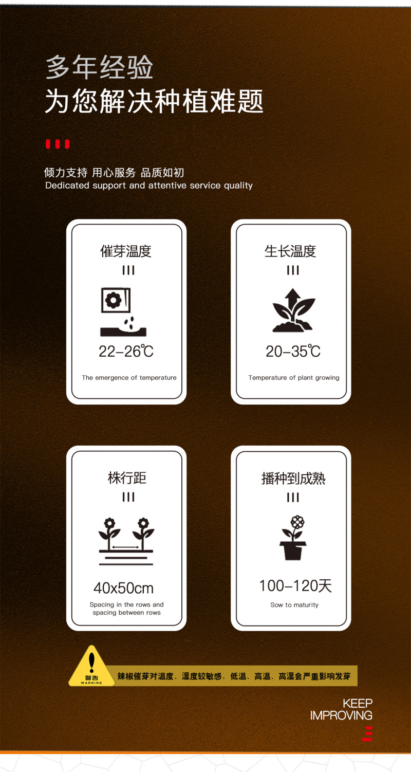 中科茂华蔬菜种子天椒105辣椒种子大果型深绿色皮薄质脆