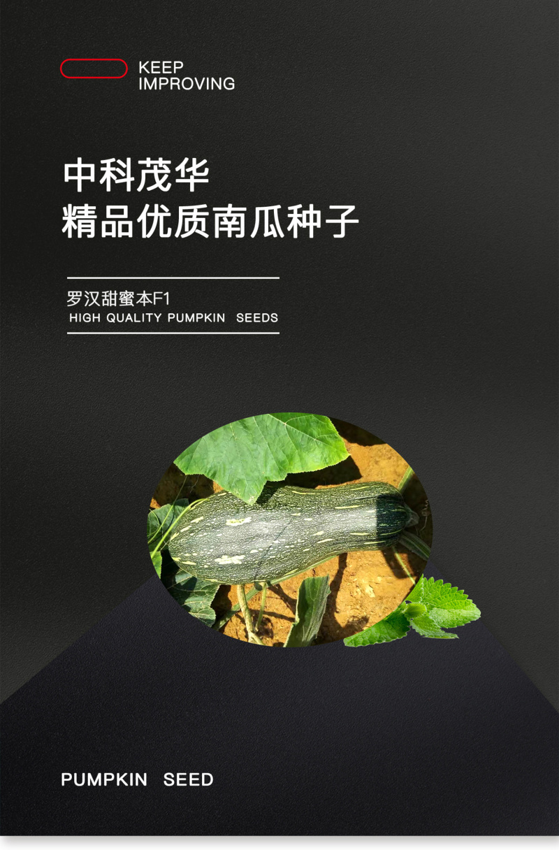 中科茂华蔬菜种子罗汉早蜜本南瓜种子甜面肉色橘红甜度高