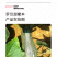 中科茂华蔬菜种子罗汉早蜜本南瓜种子甜面肉色橘红甜度高