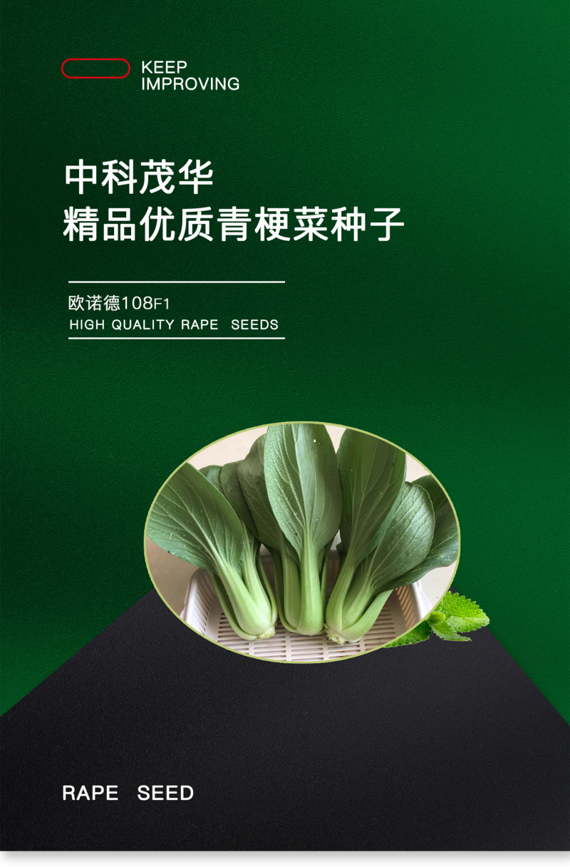中科茂华蔬菜种子欧诺德108青梗菜种子耐湿热油菜种子
