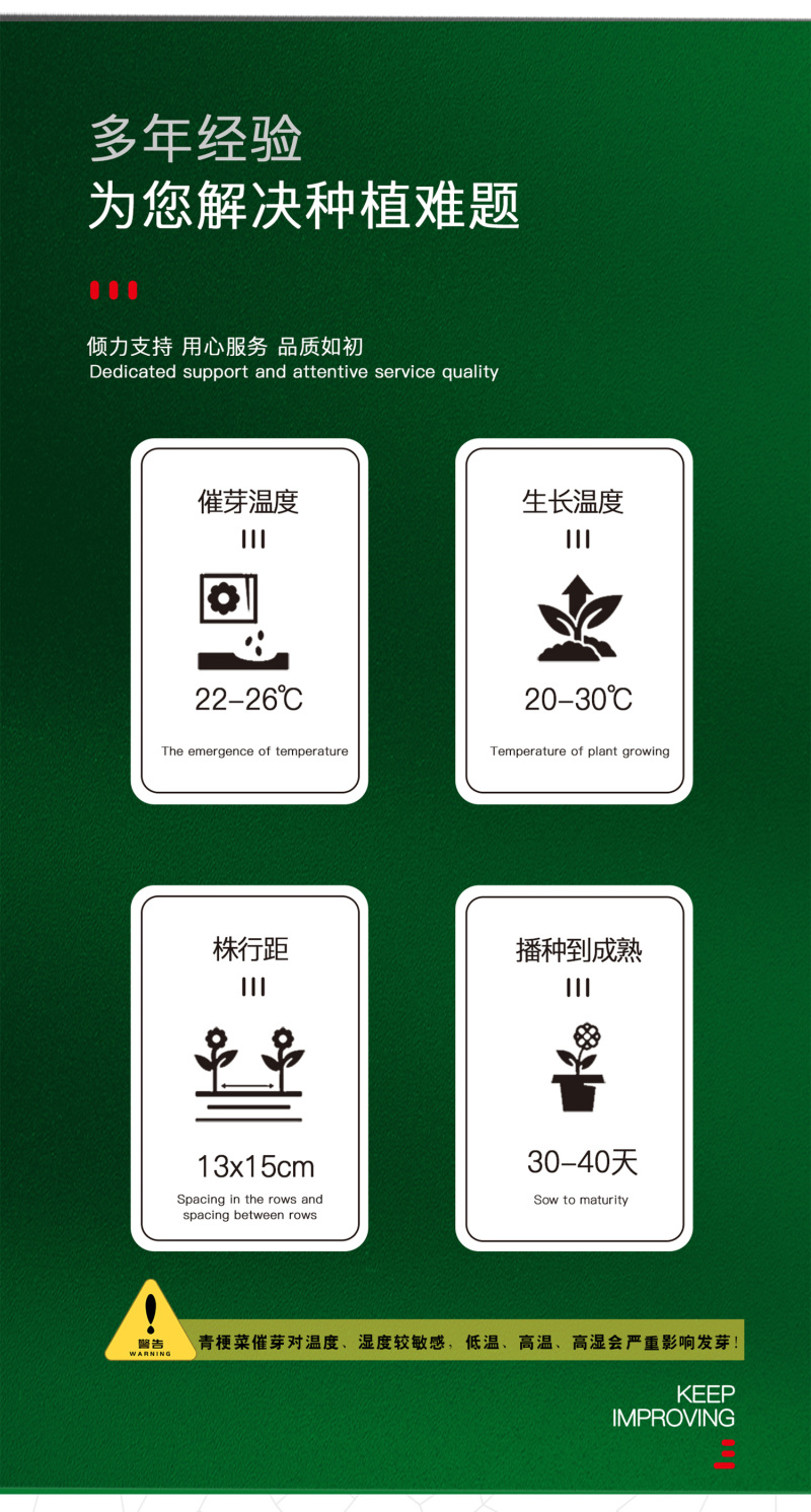 中科茂华蔬菜种子欧诺德108青梗菜种子耐湿热油菜种子