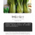 中科茂华蔬菜种子欧诺德108青梗菜种子耐湿热油菜种子