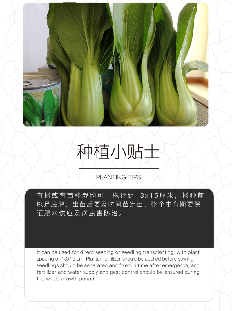 中科茂华蔬菜种子欧诺德108青梗菜种子耐湿热油菜种子