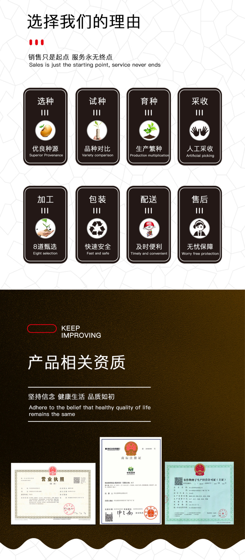 中科茂华蔬菜种子欧诺德108青梗菜种子耐湿热油菜种子