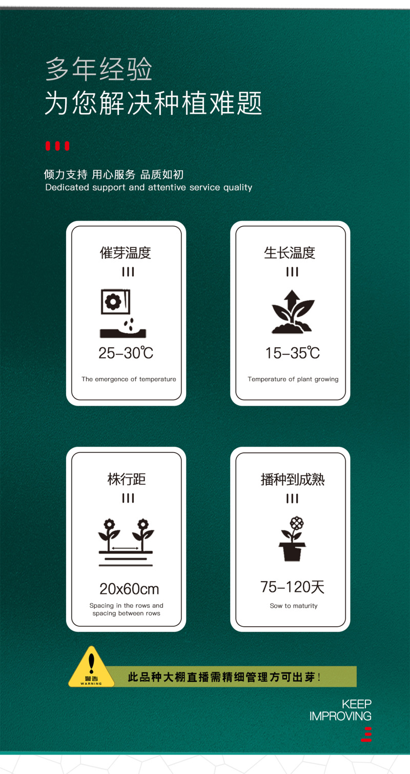 中科茂华蔬菜种子绿如意青嫩长龙豇豆种子长豆角种子翠绿长条