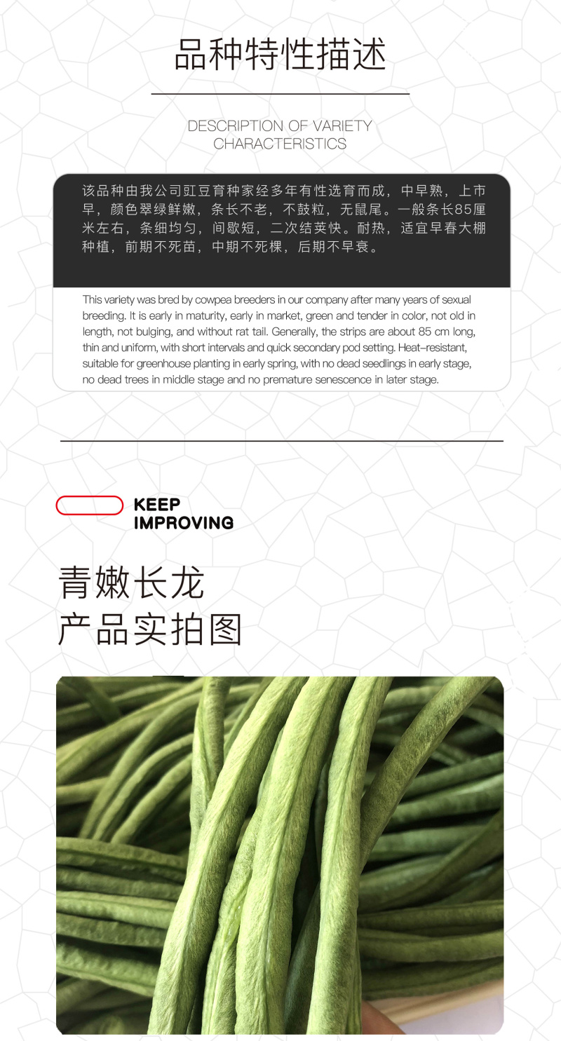 中科茂华蔬菜种子绿如意青嫩长龙豇豆种子长豆角种子翠绿长条