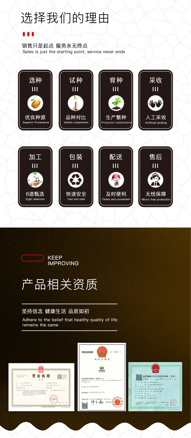 中科茂华蔬菜种子绿如意青嫩长龙豇豆种子长豆角种子翠绿长条