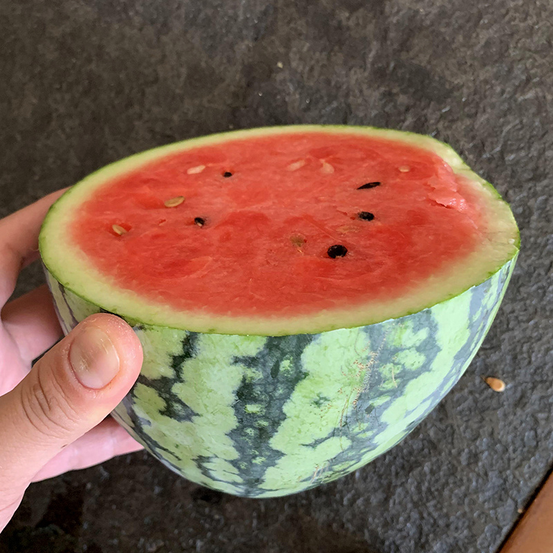 中科茂华瓜果种子金美2K西瓜种子花皮皮红肉甜脆多汁耐储运