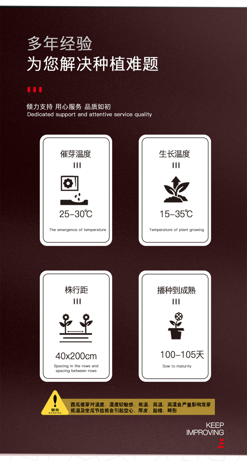 中科茂华瓜果种子金美2K西瓜种子花皮皮红肉甜脆多汁耐储运