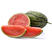中科茂华瓜果种子金美4K西瓜种子花皮红肉甜脆多汁耐储运