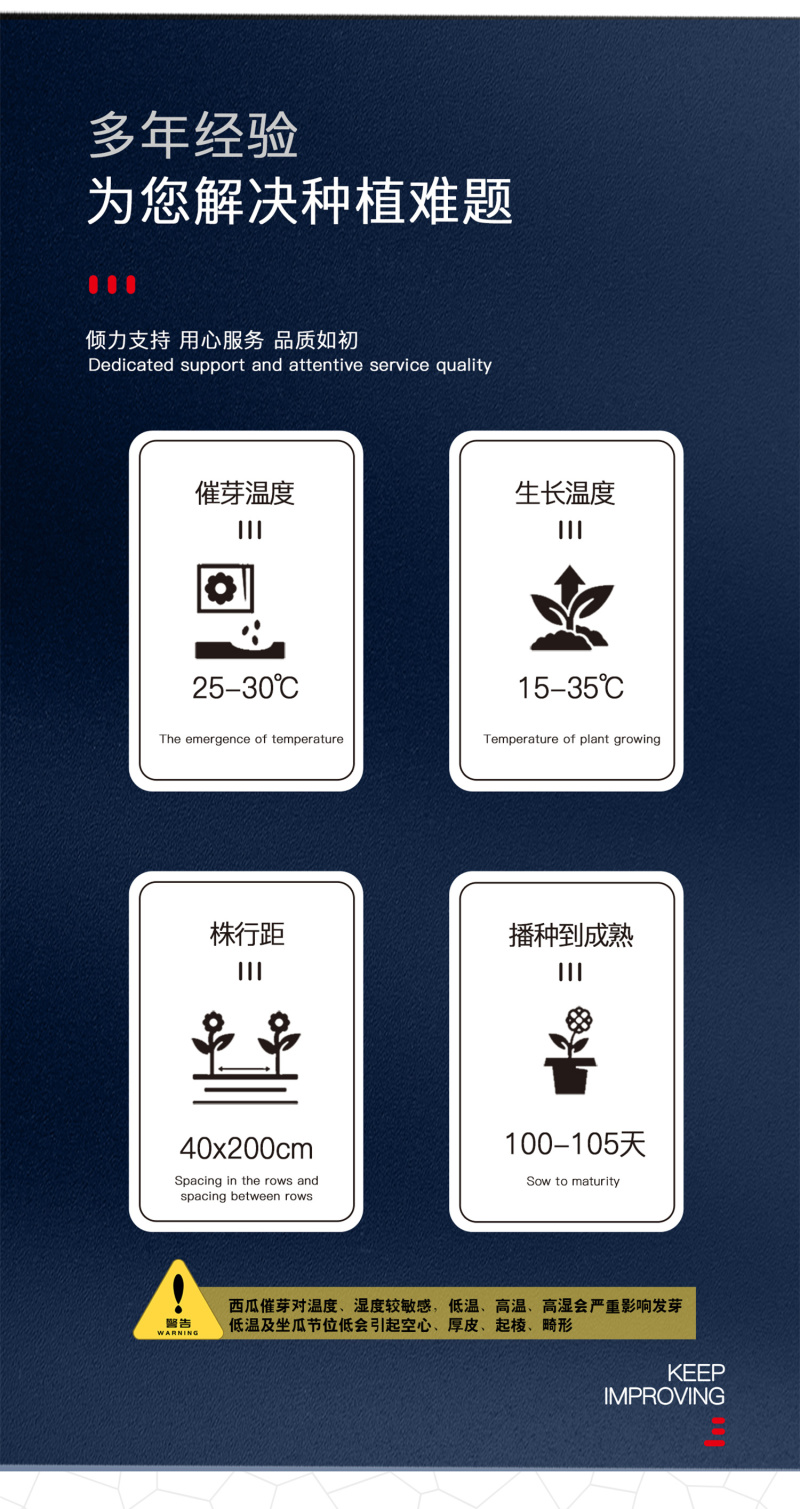 中科茂华瓜果种子金美4K西瓜种子花皮红肉甜脆多汁耐储运