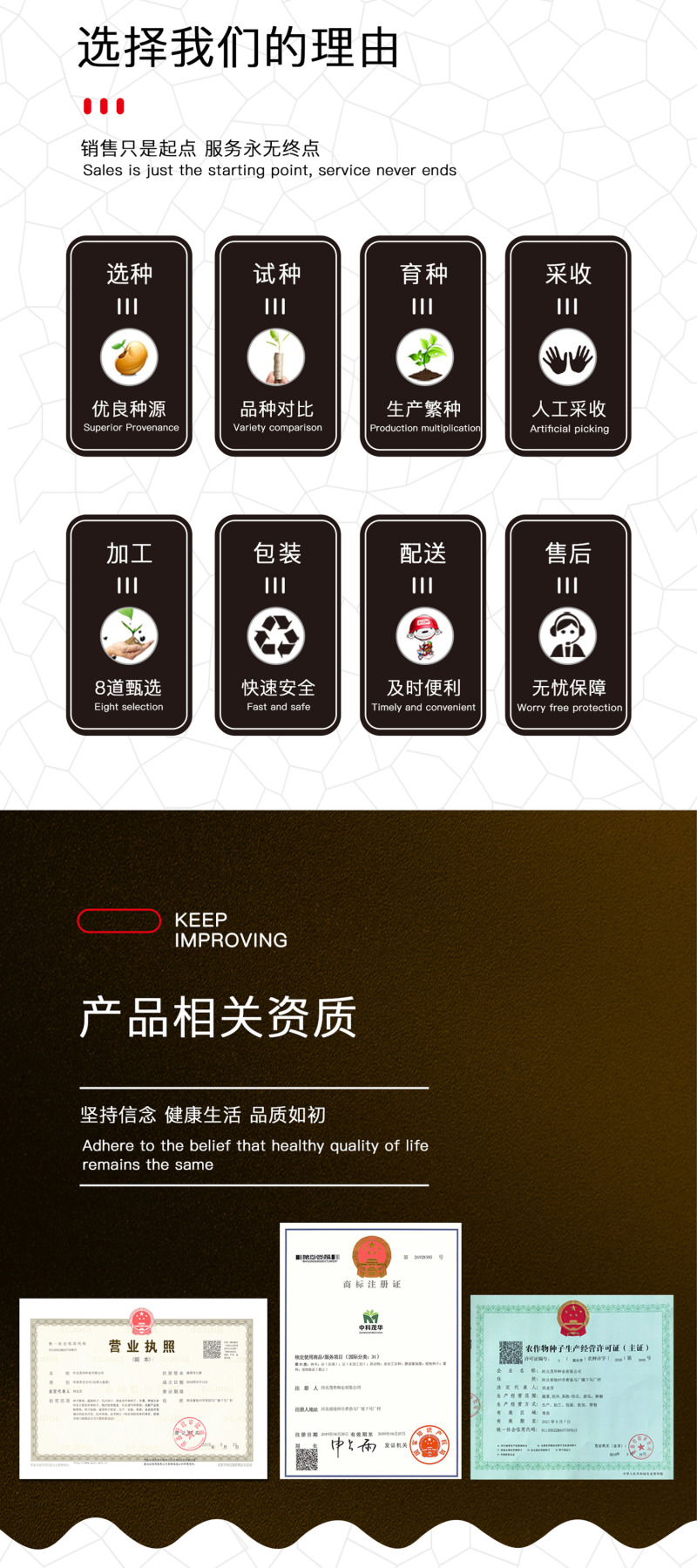 中科茂华瓜果种子金美4K西瓜种子花皮红肉甜脆多汁耐储运