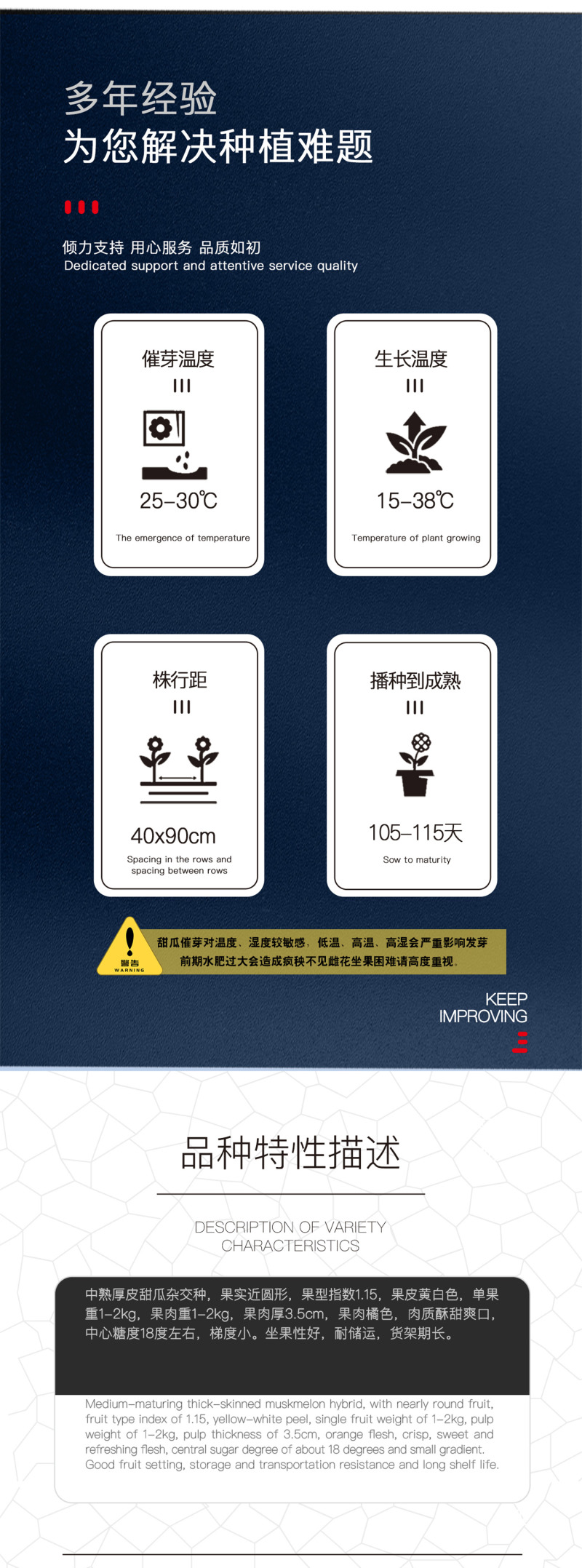 中科茂华瓜果种子中科蜜八号厚皮甜瓜种子果肉橘色超甜18度