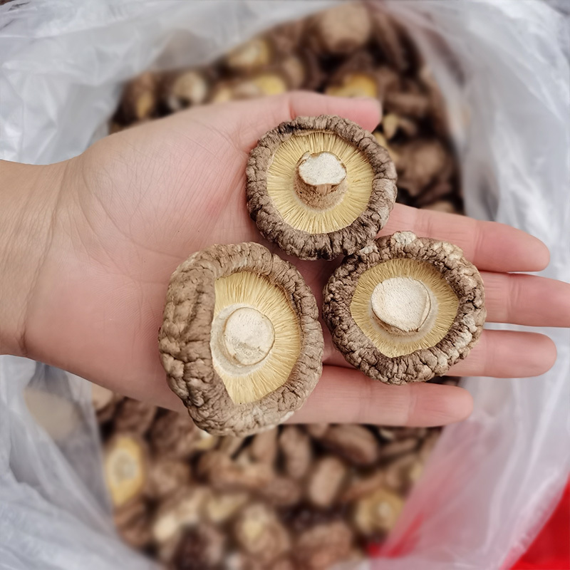 西峡香菇干货2022年新货精选无根肉厚面菇小香菇产地直发