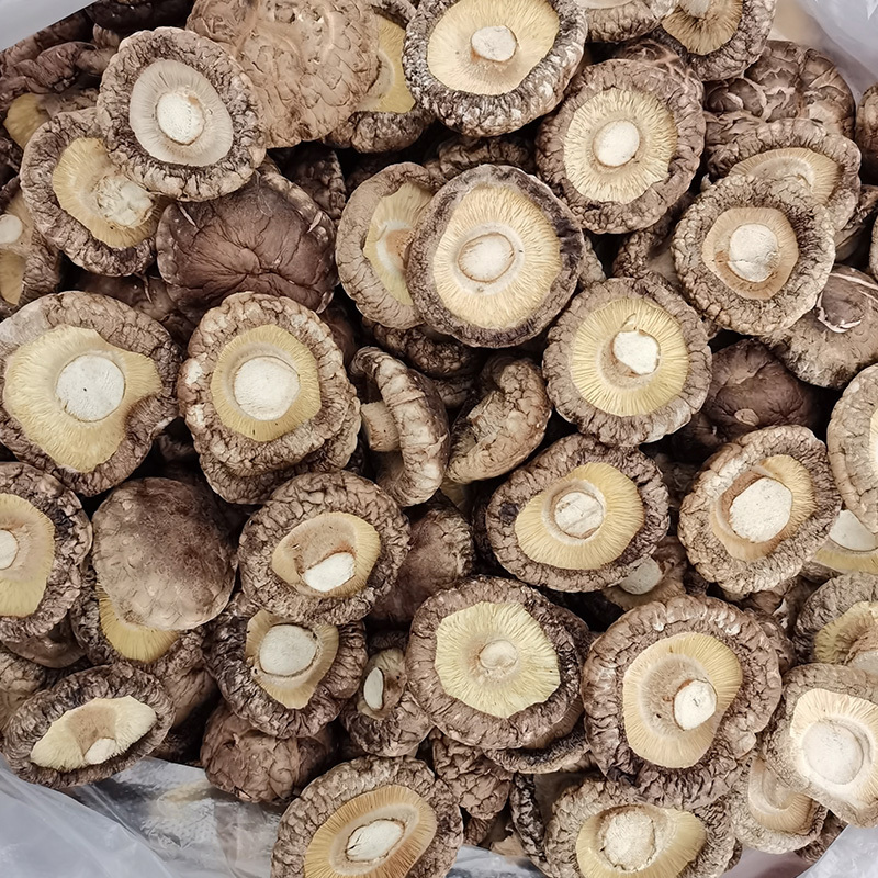 西峡香菇干货2022年新货精选无根肉厚面菇小香菇产地直发
