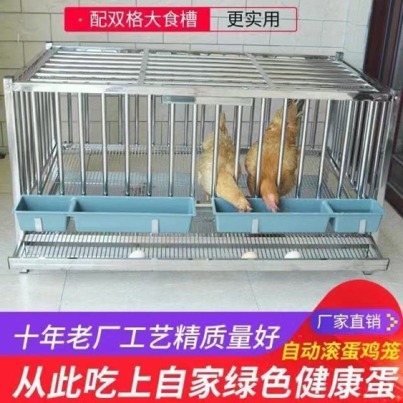 芦丁鸡自动滚蛋笼间隙加密升级款送双饮水器双食盒包邮