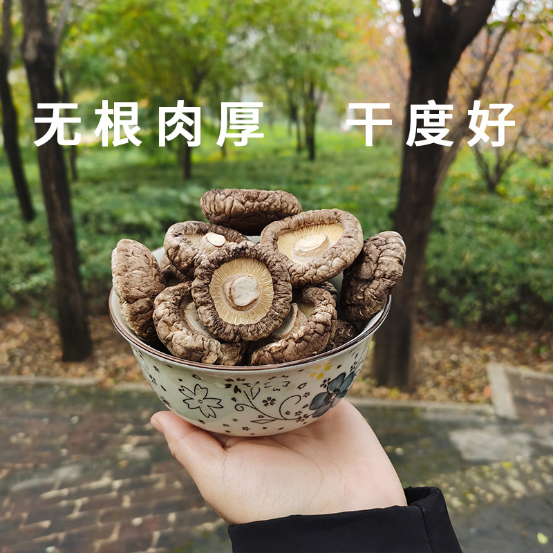 干香菇厚菇西峡香菇剪脚小香菇肉厚冬菇规格齐全产地直发