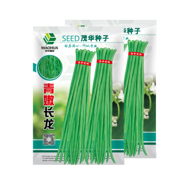 中科茂华蔬菜种子绿如意青嫩长龙豇豆种子长豆角种子翠绿长条