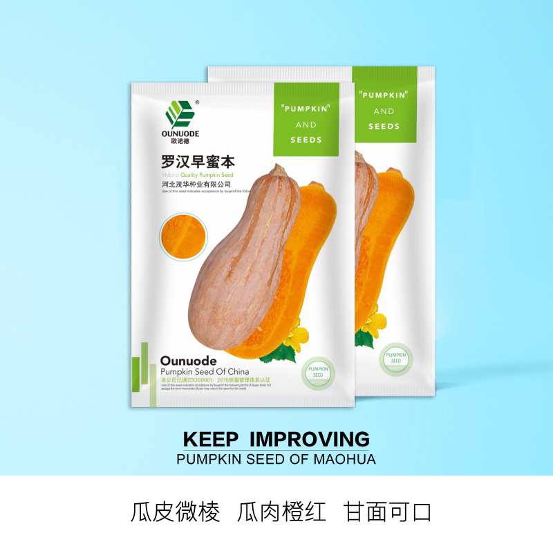 中科茂华蔬菜种子罗汉早蜜本南瓜种子甜面肉色橘红甜度高