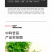 中科茂华蔬菜种子苦苣种子生菜种子外叶绿心叶浅黄耐寒耐热
