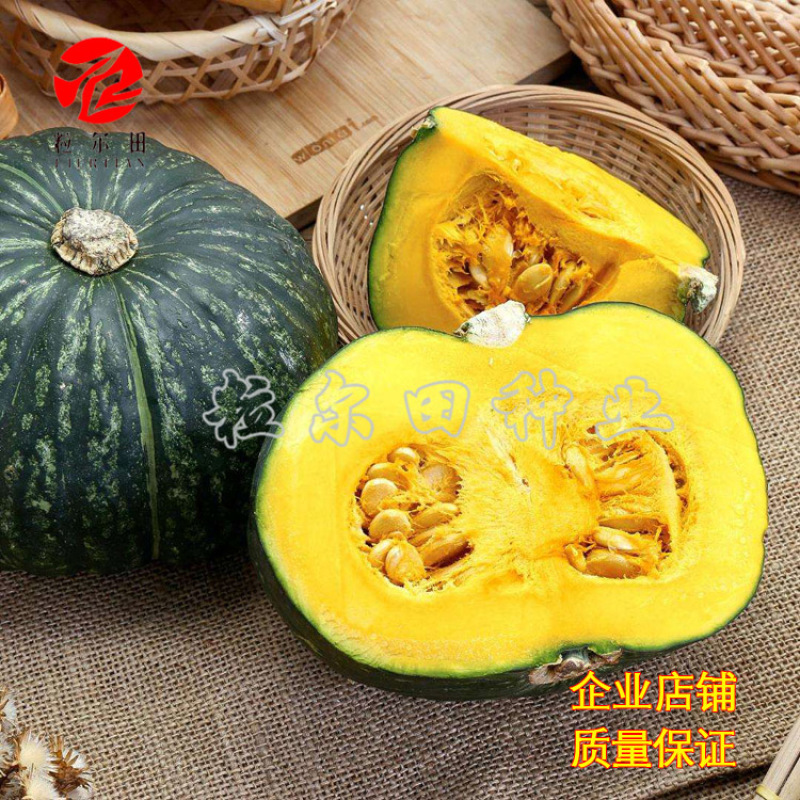 100粒大包新西兰南瓜种子春秋种植板栗南瓜种籽易种结瓜多