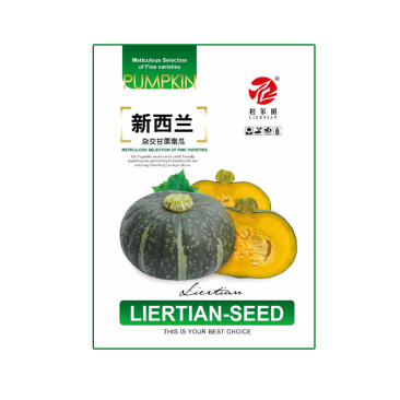 100粒大包新西兰南瓜种子春秋种植板栗南瓜种籽易种结瓜多