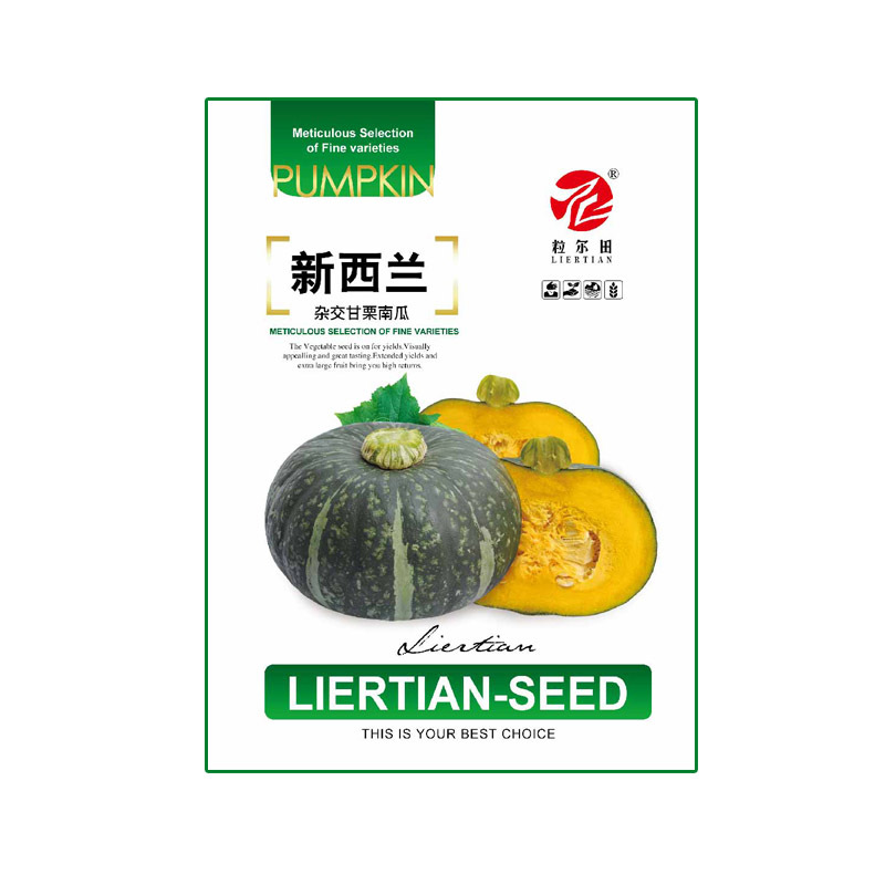 100粒大包新西兰南瓜种子春秋种植板栗南瓜种籽易种结瓜多