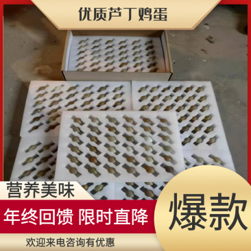 芦丁鸡种蛋，孵化率高，成活率高，快递发货