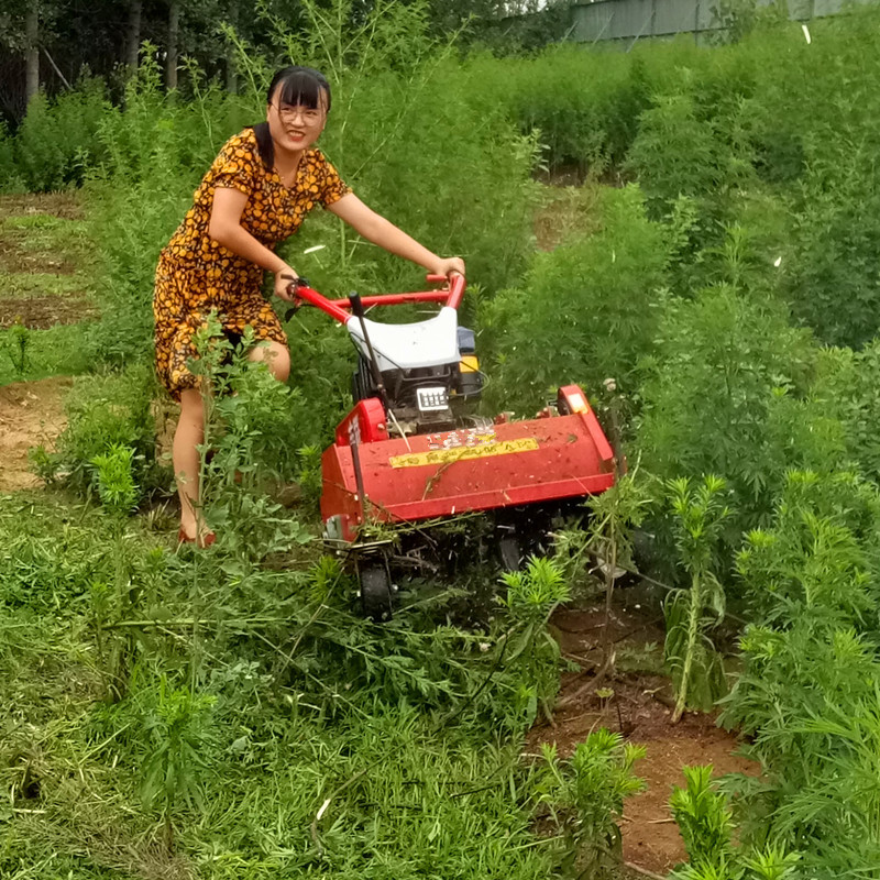 柴油碎草还田一体机园林灭草机小型农场割草碎草机厂家直