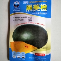 西瓜种子黑皮黄肉无籽西瓜种子高产商品性好大田用种