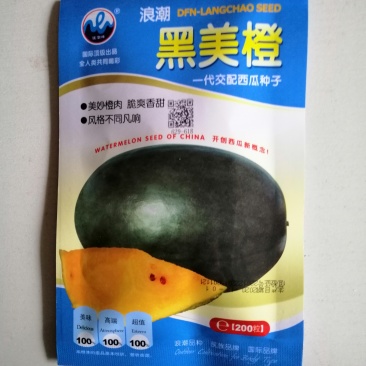 西瓜种子黑皮黄肉无籽西瓜种子高产商品性好大田用种