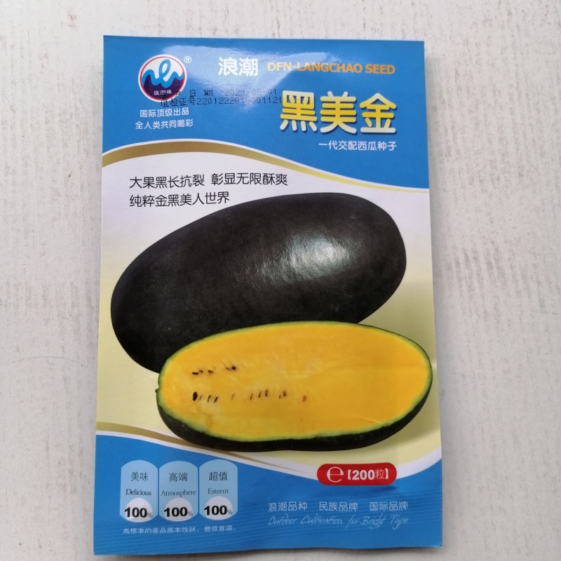 西瓜种子黑皮黄肉无籽西瓜种子高产商品性好大田用种