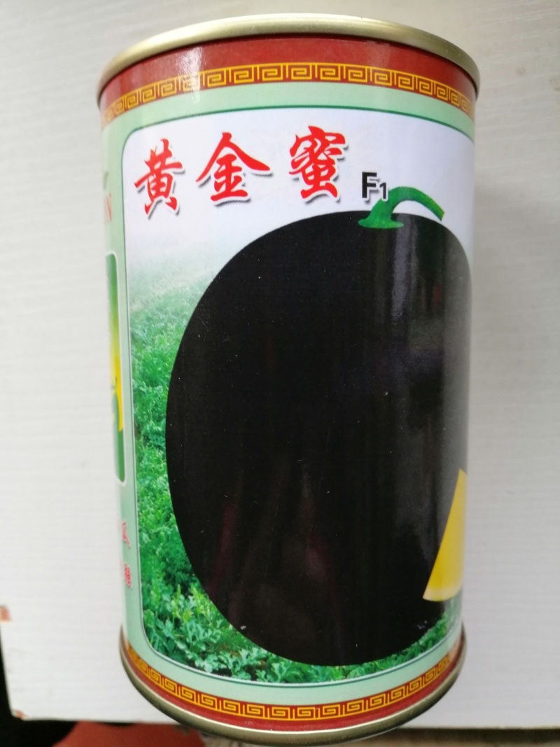 西瓜种子黑皮黄肉无籽西瓜种子高产商品性好大田用种