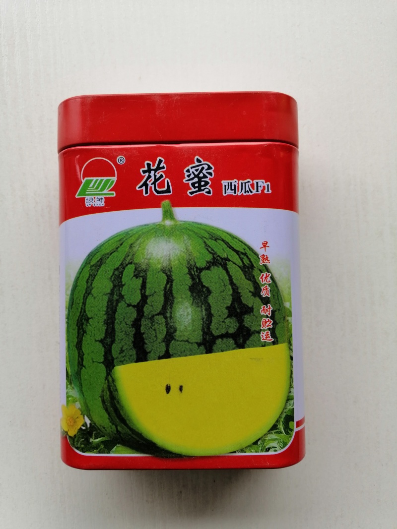 早熟西瓜种子绿皮黄瓤西瓜种子一代杂交大田用种