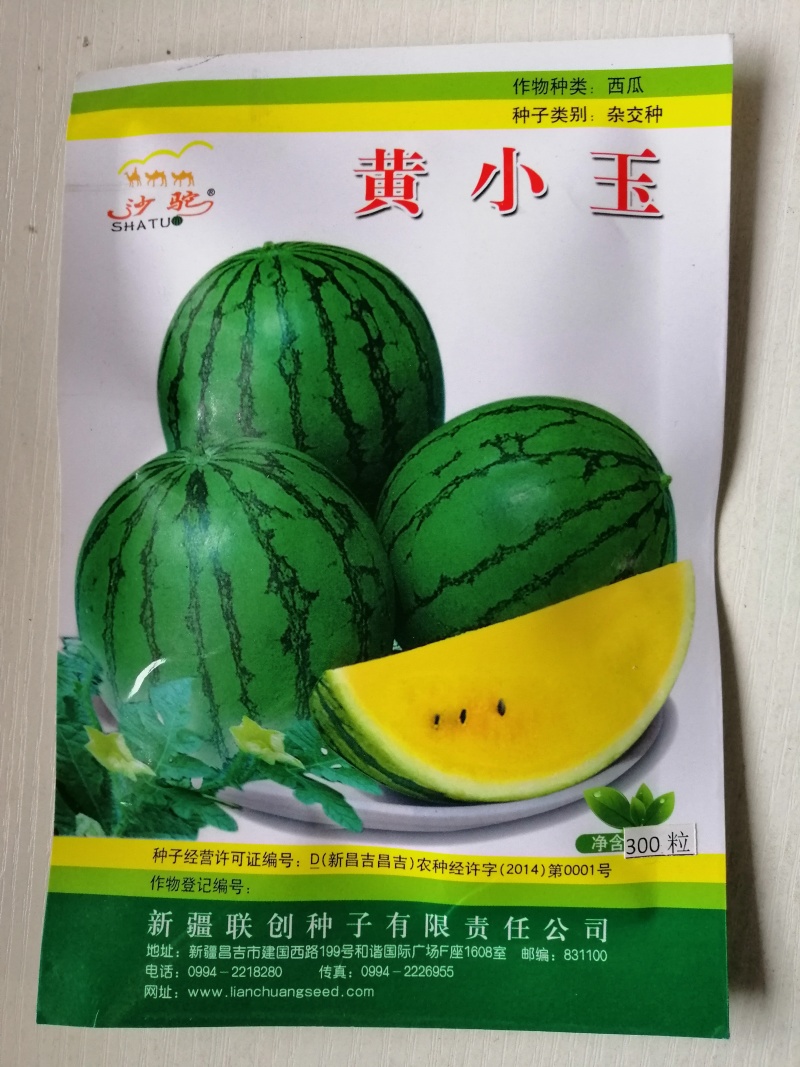 早熟西瓜种子绿皮黄瓤西瓜种子一代杂交大田用种