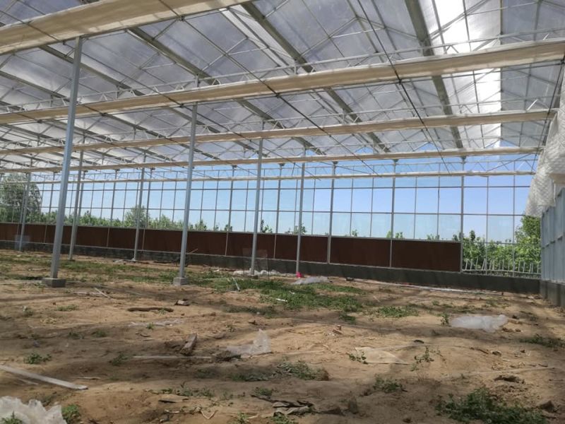 智能玻璃温室大棚连栋花卉蔬菜养殖大棚承接生态玻璃温室工