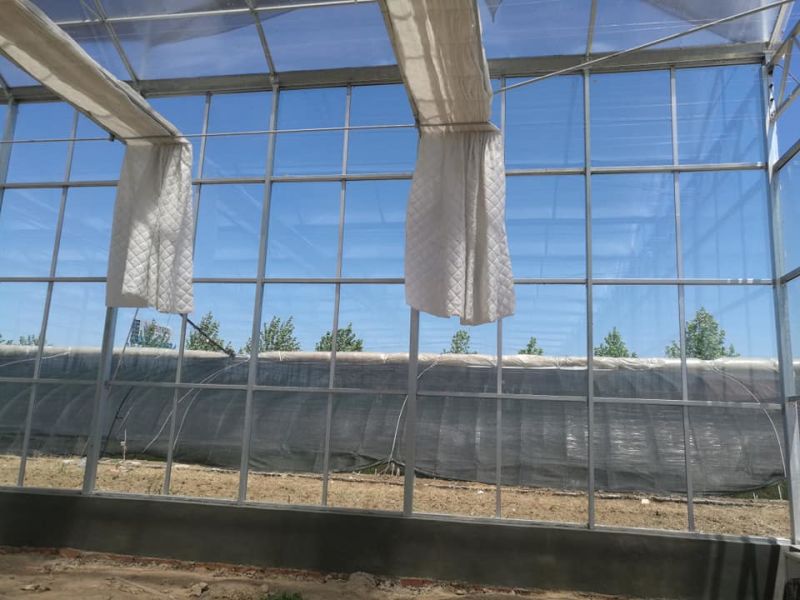 智能玻璃温室大棚连栋花卉蔬菜养殖大棚承接生态玻璃温室工