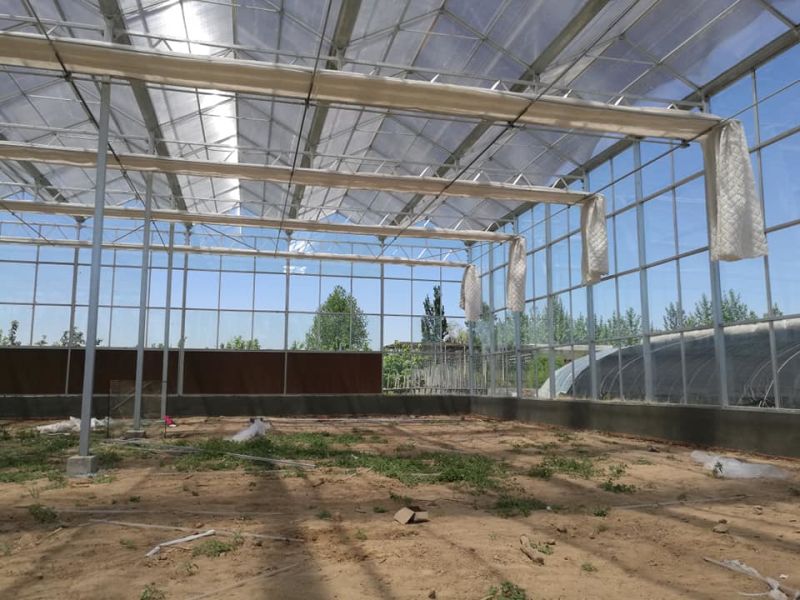 智能玻璃温室大棚连栋花卉蔬菜养殖大棚承接生态玻璃温室工