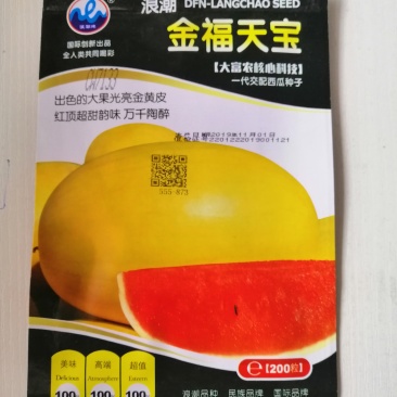 金玲西瓜种子礼品型黄皮红瓤小西瓜种籽春季大棚种植